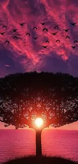 Silhouette of a tree at sunset with birds flying and a vibrant purple sky.