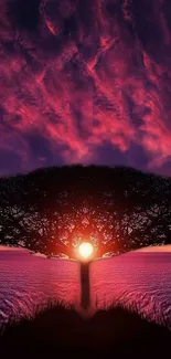 A stunning sunset with a silhouette of a tree against a red sky.