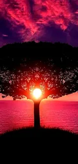 Beautiful tree silhouette at sunset by the ocean, surrounded by vibrant pink hues.