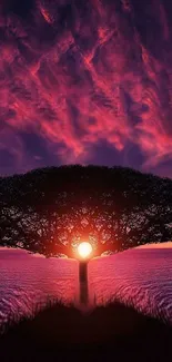 Majestic tree silhouette against vibrant sunset sky in nature wallpaper.