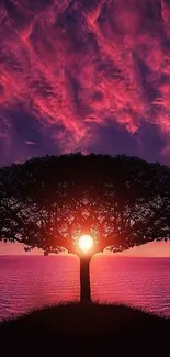 A majestic tree silhouetted by a stunning purple sunset over the ocean horizon.