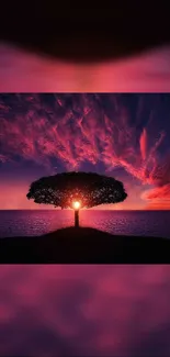 Silhouette of a tree against a vibrant sunset sky over the ocean.