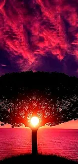 Silhouette of a tree with a sunset and vibrant pink skies.