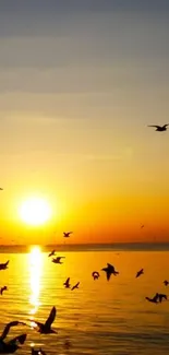 Beautiful sunset wallpaper with birds flying over shimmering water.