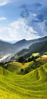 Lush green terraced fields under a vibrant sky.