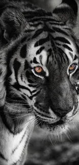 Black and white tiger with striking orange eyes in a stunning portrait.