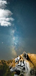 Tiger in front of starry night sky and mountain landscape.