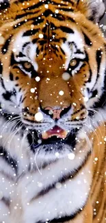 Majestic tiger in snowy landscape mobile wallpaper.