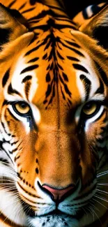 Close-up of a majestic tiger's face with bright orange and black stripes.