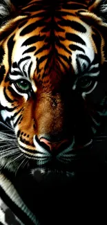 Close-up of a tiger face with striking orange and black stripes.