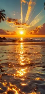 Tropical sunset over ocean with palm trees and golden reflection.