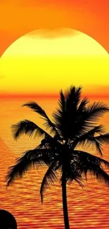 Tropical sunset with palm trees and an orange sky over the ocean.