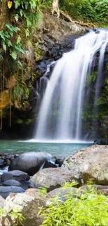 Stunning mobile wallpaper of a tropical waterfall surrounded by lush greenery.