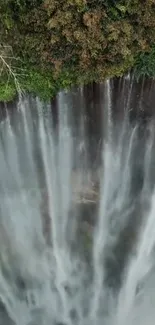 A breathtaking vertical waterfall in a lush forest setting.