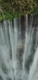 Stunning vertical waterfall with green foliage.