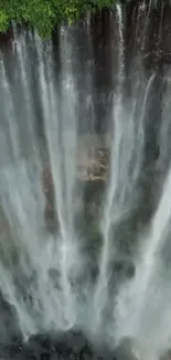 Lush greenery above a cascading waterfall in a serene mobile wallpaper view.