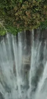 Mobile wallpaper of a lush green waterfall cascading down a forest.