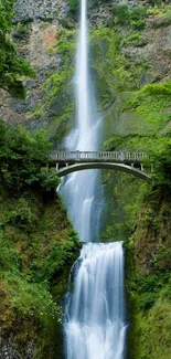 Waterfall cascades under a bridge surrounded by lush greenery.