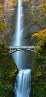 Waterfall cascading over bridge in lush forest scenery.