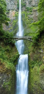 Majestic waterfall flowing through lush green cliffs with a bridge.