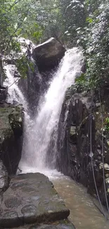 Serene waterfall in a lush green forest setting.