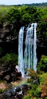 A breathtaking waterfall in a lush forest landscape.