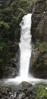 A beautiful waterfall in a lush green forest.