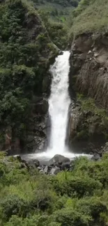 Waterfall cascading in lush green landscape with rocky surroundings.