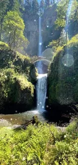 Breathtaking waterfall amidst dense green forest with sunlight streaming through.