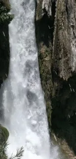 Majestic waterfall cascading over rocky cliffs with lush green borders.