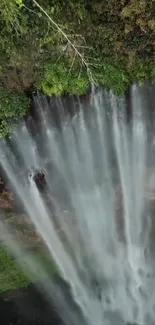 Mobile wallpaper featuring a stunning waterfall with lush greenery.