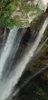 Stunning waterfall image with lush greenery, perfect for mobile wallpaper.