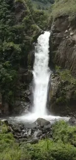 Stunning waterfall with lush green surroundings as mobile wallpaper.