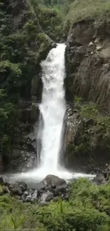 Breathtaking waterfall cascading amidst lush green foliage on a rocky cliff.