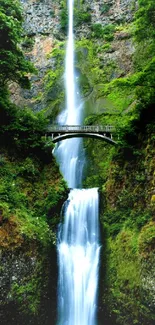 Stunning waterfall with greenery bridge and cascading water in nature.