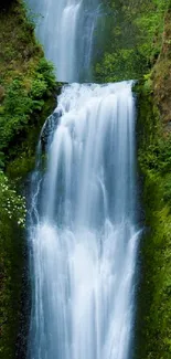 Lush waterfall with a bridge amidst green scenery, perfect for mobile wallpaper.