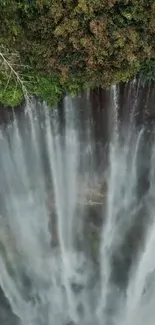 A breathtaking view of a waterfall cascading amidst lush green foliage.