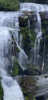 Waterfall cascading in lush green forest setting.