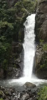 Majestic waterfall with lush greenery in a serene natural setting.