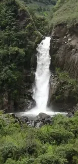 A breathtaking waterfall cascading down lush green cliffs in a nature wallpaper scene.