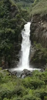 Beautiful waterfall cascading in lush green forest scenery.