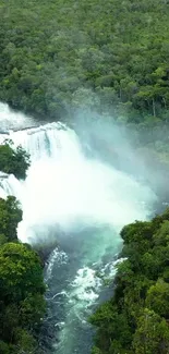 Lush green forest with a cascading waterfall.