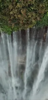 A vertical view of a stunning forest waterfall cascading down lush greenery.