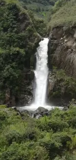 Waterfall framed by lush greenery in a serene forest.