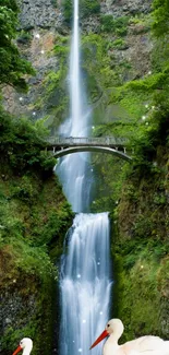 A beautiful waterfall with a natural bridge and surrounding greenery.