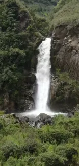 Serene waterfall surrounded by lush greenery flowing down rocky cliffs.