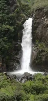 Majestic waterfall surrounded by lush greenery in a serene natural setting.