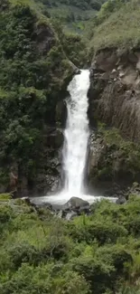 Stunning waterfall amidst lush green landscape