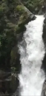 Majestic waterfall cascading through lush greenery.