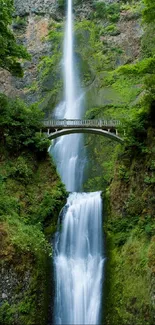 Majestic waterfall flowing under a scenic bridge surrounded by lush greenery.